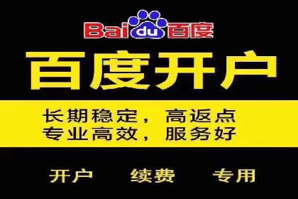 探索百度竞价账户托管的奥秘：多行业成功经验分享